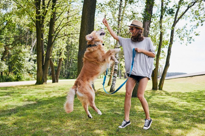 外出遊ぶ犬と女性