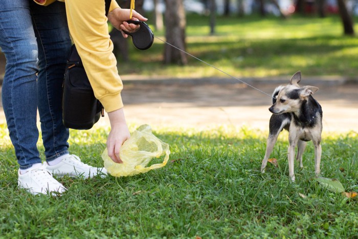 犬のウンチをとる