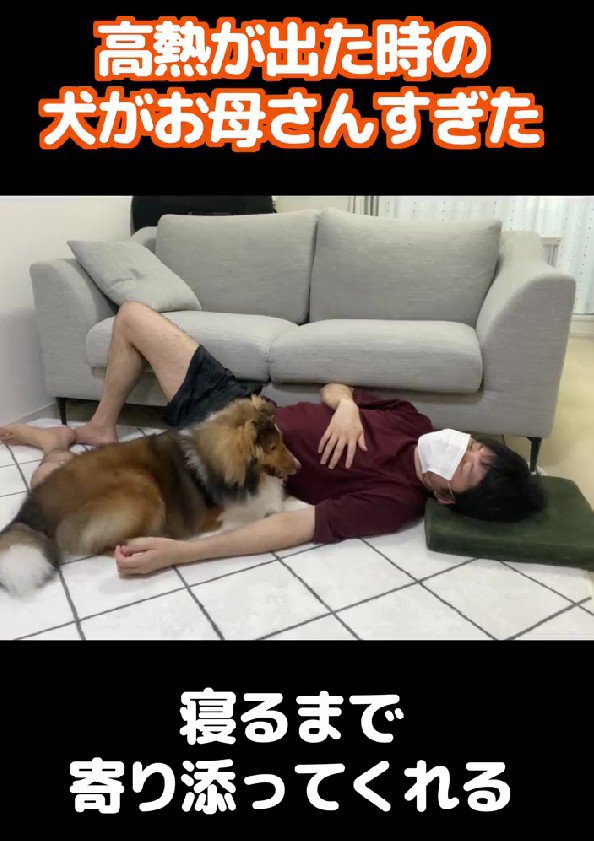 お母さんみたいな姿に涙