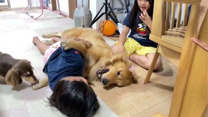 口を開ける犬