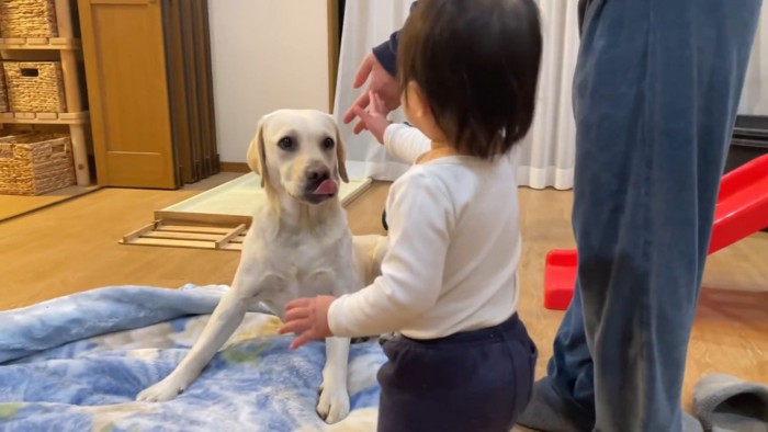 おやすみの挨拶できたよ♡