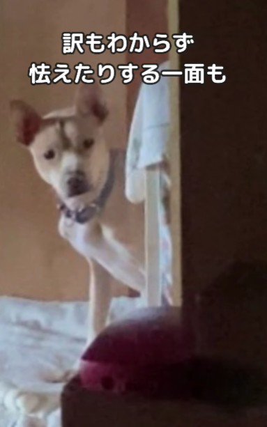 不安になることもあるけど…