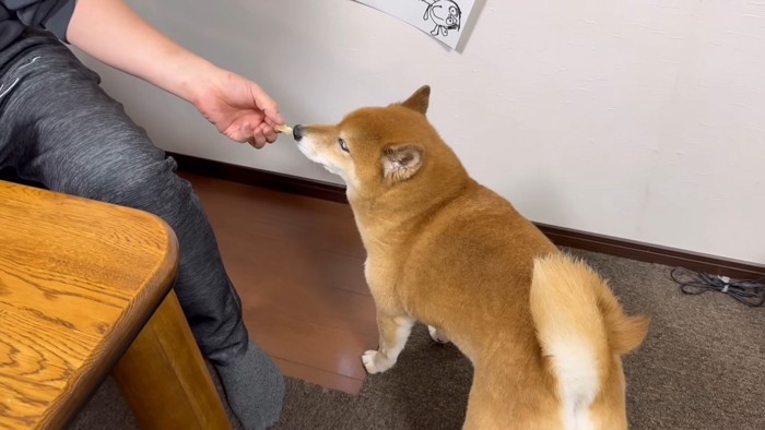 おやつで契約に持ち込むも…