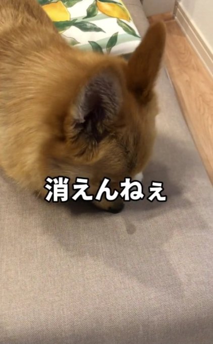 消えないねぇ