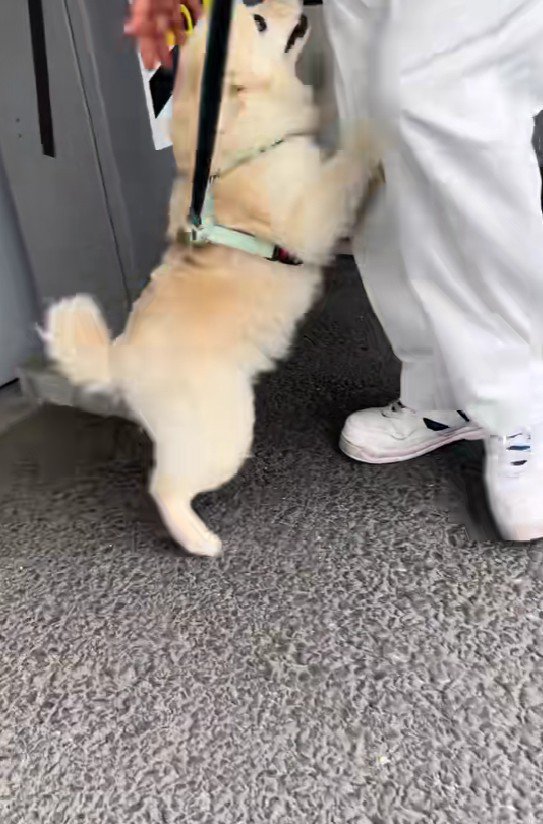 「会いたかった~」