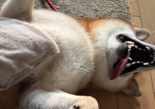無防備