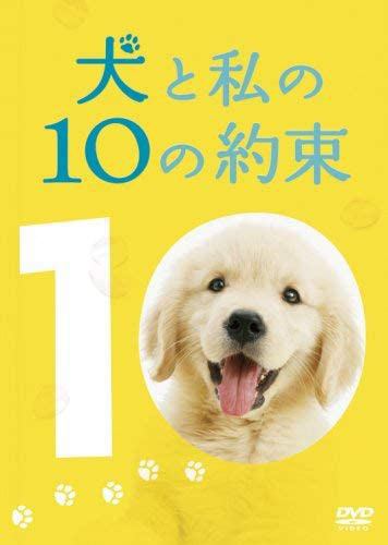 犬と私の10の約束