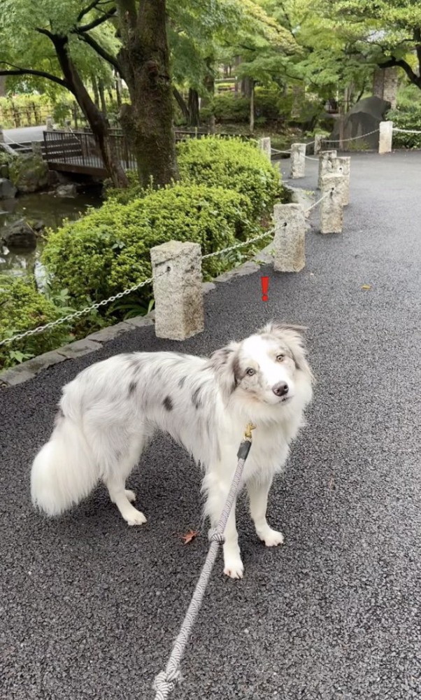 分かった！！