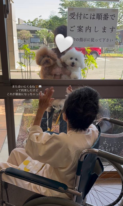 こたちゃん＆くむちゃんと祖父母の思い出8