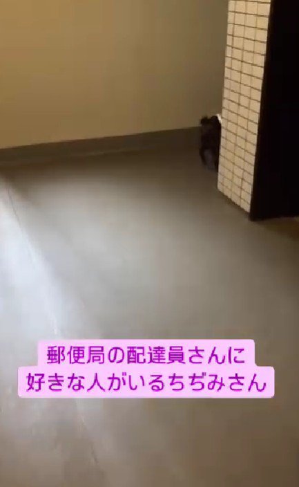 「あれ?いない…」