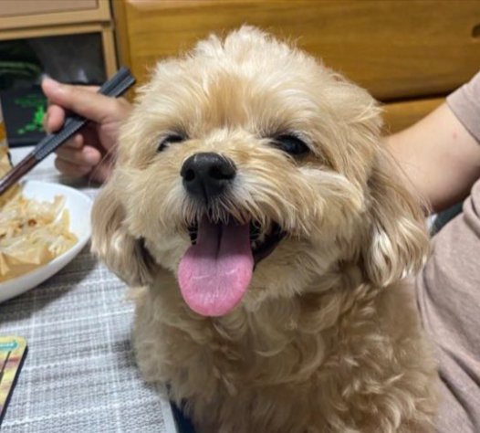 おじいちゃん