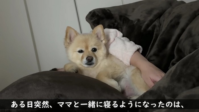 今ではママのボディーガードに