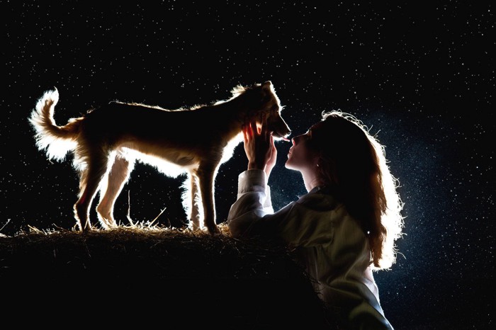 星空の女性と犬