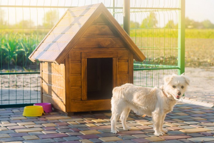 犬小屋と犬