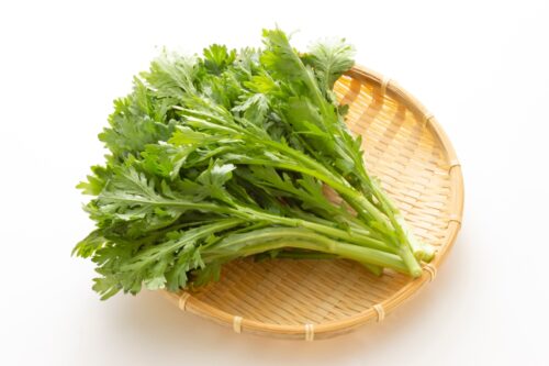 ザルに乗った春菊