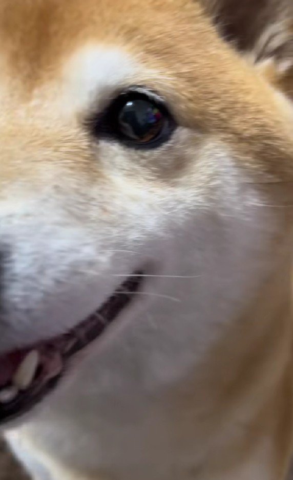 駆け寄る姿もカワイイ♡