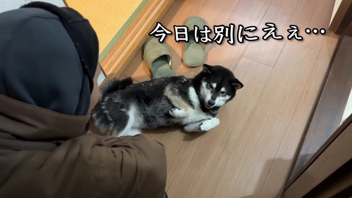 お散歩に行きたくない