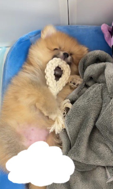 怠惰なだけだった!!