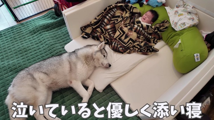 赤ちゃんが泣くとすぐに添い寝
