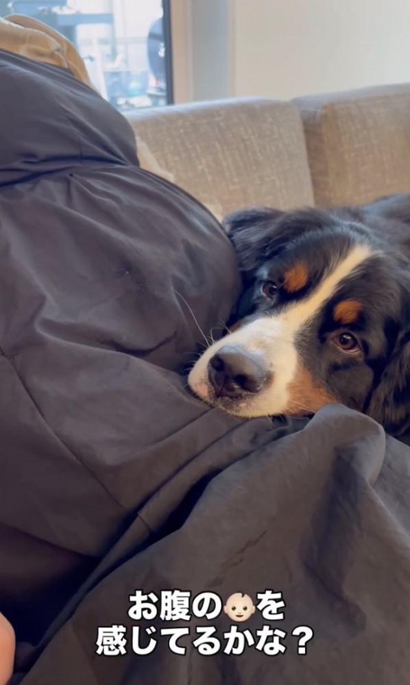 もうお姉ちゃんの表情