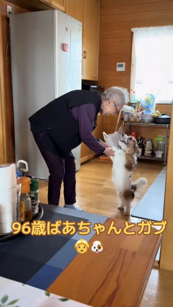 おばあちゃんと手を取り合う笑顔の犬