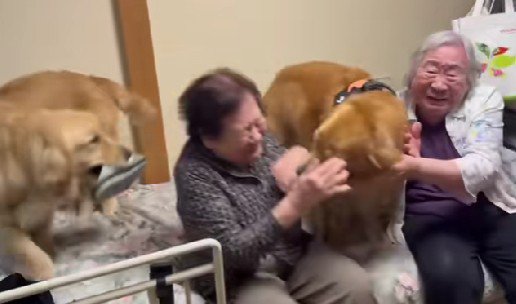 スリッパを持ってきたライトちゃん