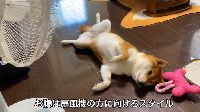 風がお腹に当たるように体勢を調整