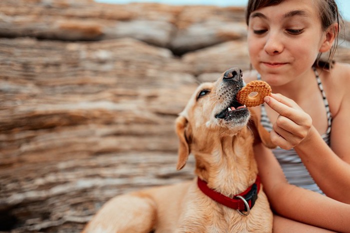 犬にクッキーをあげる女性