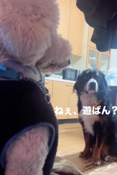 今では大親友♡今では大親友♡