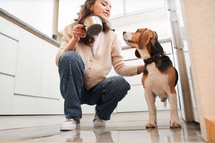 キッチンで愛犬を撫でる女性