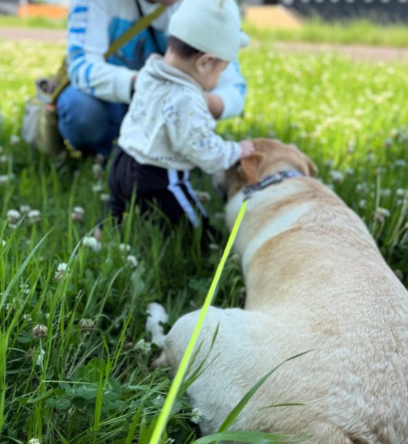 薫風ちゃんをなでる赤ちゃん
