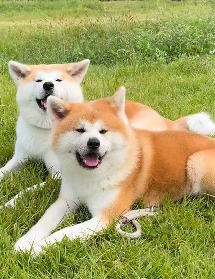 もちろんお散歩も一緒！！