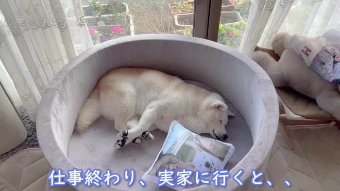 16歳のあいちゃん