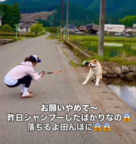 「絶対にダメ！！」