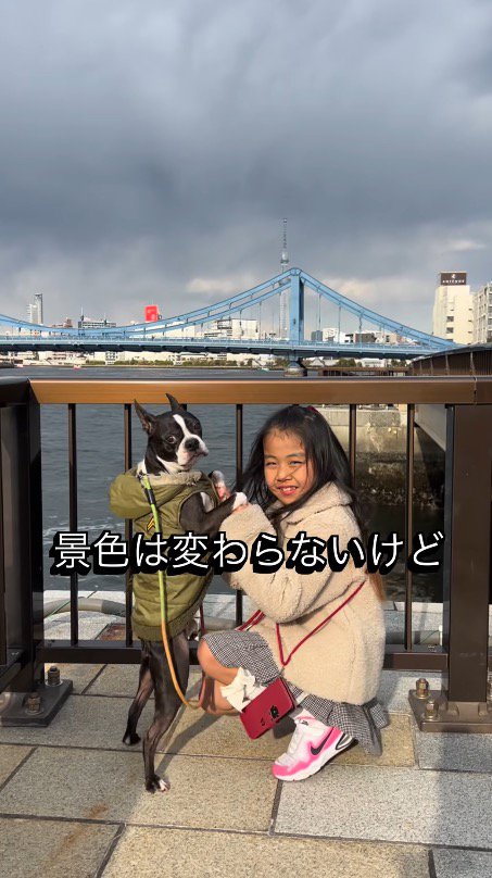 しゃがんで犬の前足を手に取る女の子