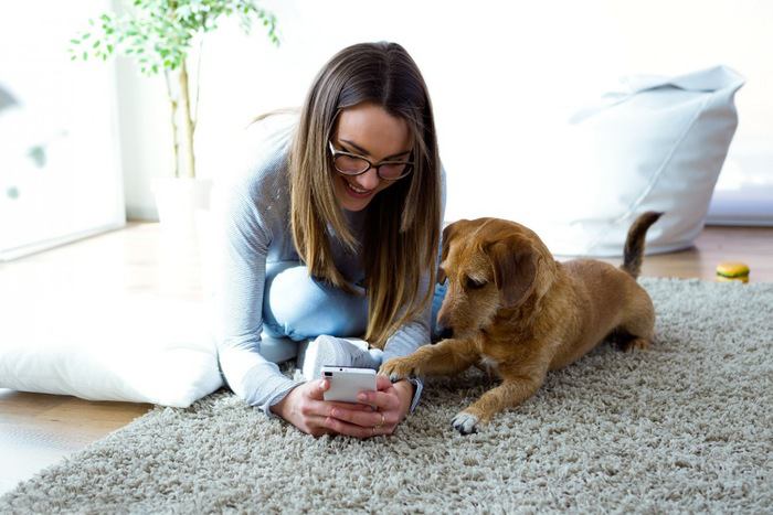 女性に手を添える犬