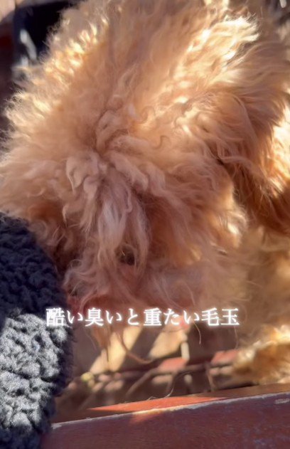 汚れてボロボロな体に…