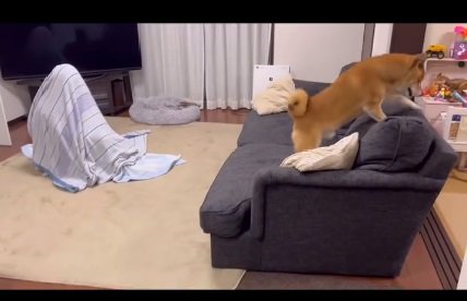 ニアミスのロックくんとマリちゃん