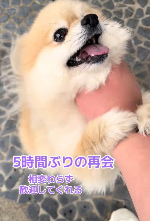 ぎゅっ♡