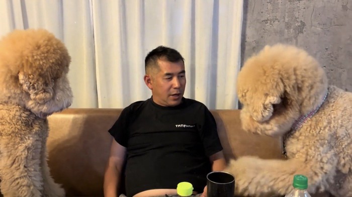 人に近づく犬