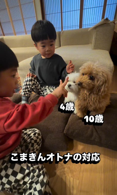 圧倒されながらも大人の対応