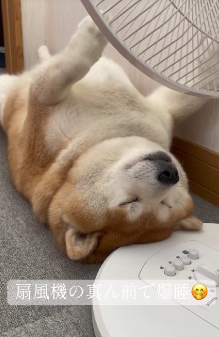 自分の時間も必要♡
