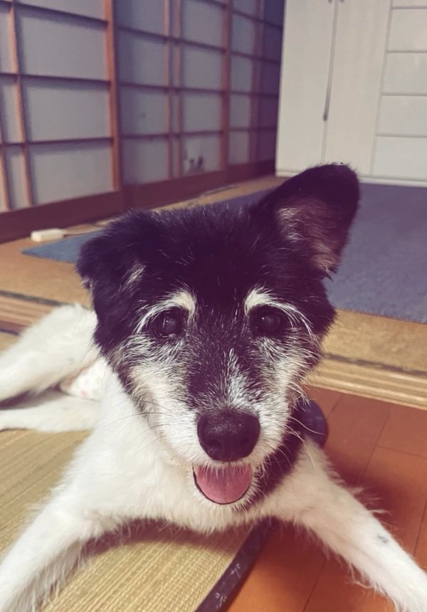 笑顔になったツナ君