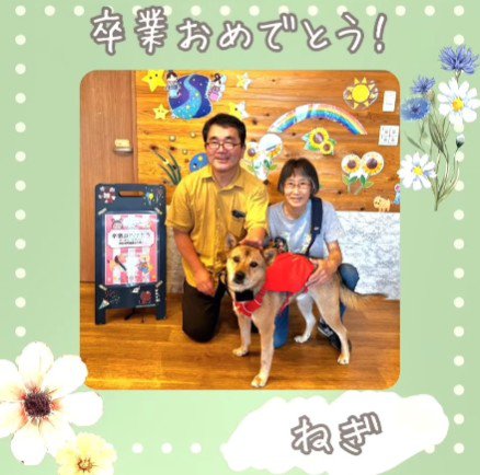 里親さんが決定！