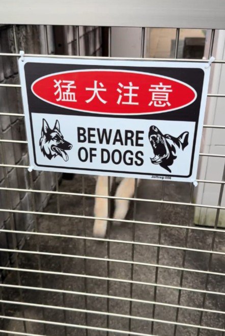 猛犬注意の看板にドキドキ