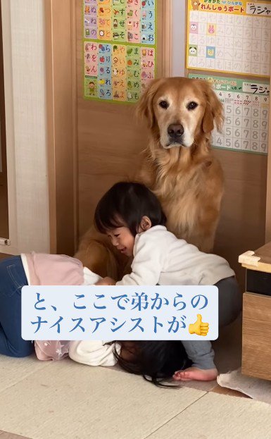 弟のナイスアシスト!