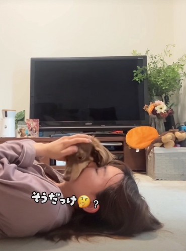 顔の上の犬を撫でる