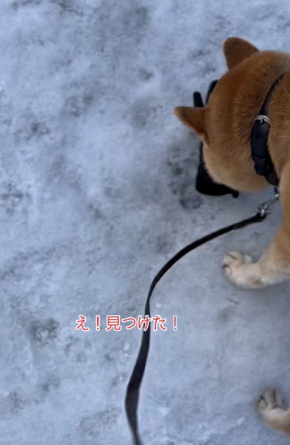 手袋を見つけた朔くん