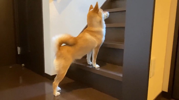 「パパまだ!?遅いよ~」