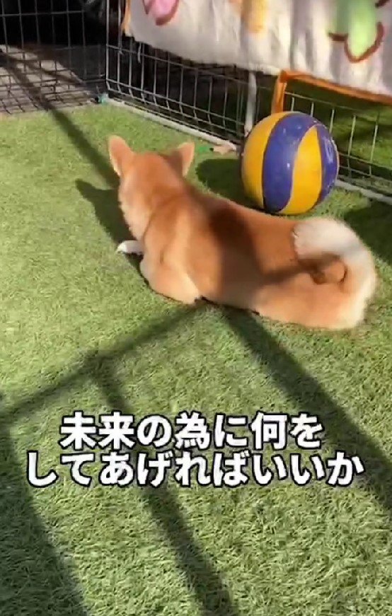 未来ちゃんのために何ができるか